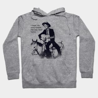 I hope my pony knows the way back home Hoodie